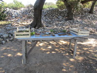 Fruga Food Table
